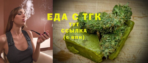 индика Весьегонск